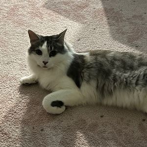 Meet your Posher, Eve